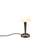 Reality CANARIA Tafellamp LED Chroom, Zwart, 1-licht