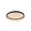 Reality HIKO Plafondlamp LED Zwart, 2-lichts, Afstandsbediening