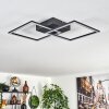 Obo Plafondlamp LED Zwart, 1-licht