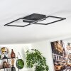 Obo Plafondlamp LED Zwart, 1-licht