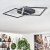 Obo Plafondlamp LED Zwart, 1-licht