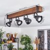 Safari Plafondlamp Bruin, Zwart, 4-lichts