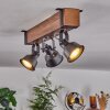 Safari Plafondlamp Bruin, Zwart, 3-lichts