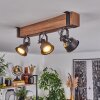 Safari Plafondlamp Bruin, Zwart, 3-lichts