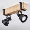 Safari Plafondlamp Natuurlijke kleuren, Zwart, 2-lichts