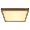 Globo CARLA Plafondpaneel LED Zwart, Wit, 2-lichts