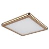 Globo CARLA Plafondpaneel LED Zwart, Wit, 2-lichts