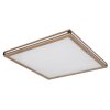 Globo CARLA Plafondpaneel LED Zwart, Wit, 2-lichts