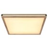 Globo CARLA Plafondpaneel LED Zwart, Wit, 2-lichts