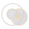 Globo RODERICK Plafondlamp LED Wit, 1-licht, Afstandsbediening