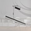 Globo DENTSY Hanger LED Zwart, 1-licht