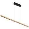 Globo DENTSY Hanger LED Zwart, 1-licht