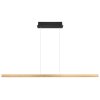 Globo DENTSY Hanger LED Zwart, 1-licht