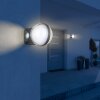 Globo ILLI Buiten muurverlichting LED Antraciet, 1-licht