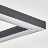 Obo Plafondlamp LED Zwart, 1-licht