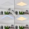 Hotinhas Plafondpaneel LED Wit, 1-licht, Afstandsbediening, Kleurwisselaar
