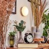 Hutton Muurlamp LED Nikkel mat, 1-licht