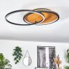 Cardozo Plafondlamp LED Natuurlijke kleuren, Zwart, 1-licht