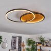 Cardozo Plafondlamp LED Natuurlijke kleuren, Zwart, 1-licht