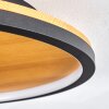 Cardozo Plafondlamp LED Natuurlijke kleuren, Zwart, 1-licht