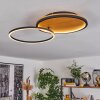 Cardozo Plafondlamp LED Natuurlijke kleuren, Zwart, 1-licht
