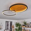 Cardozo Plafondlamp LED Natuurlijke kleuren, Zwart, 1-licht