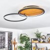 Cardozo Plafondlamp LED Natuurlijke kleuren, Zwart, 1-licht