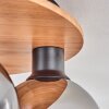 Koyoto Plafondlamp - Glas Natuurlijke kleuren, Zwart, 5-lichts