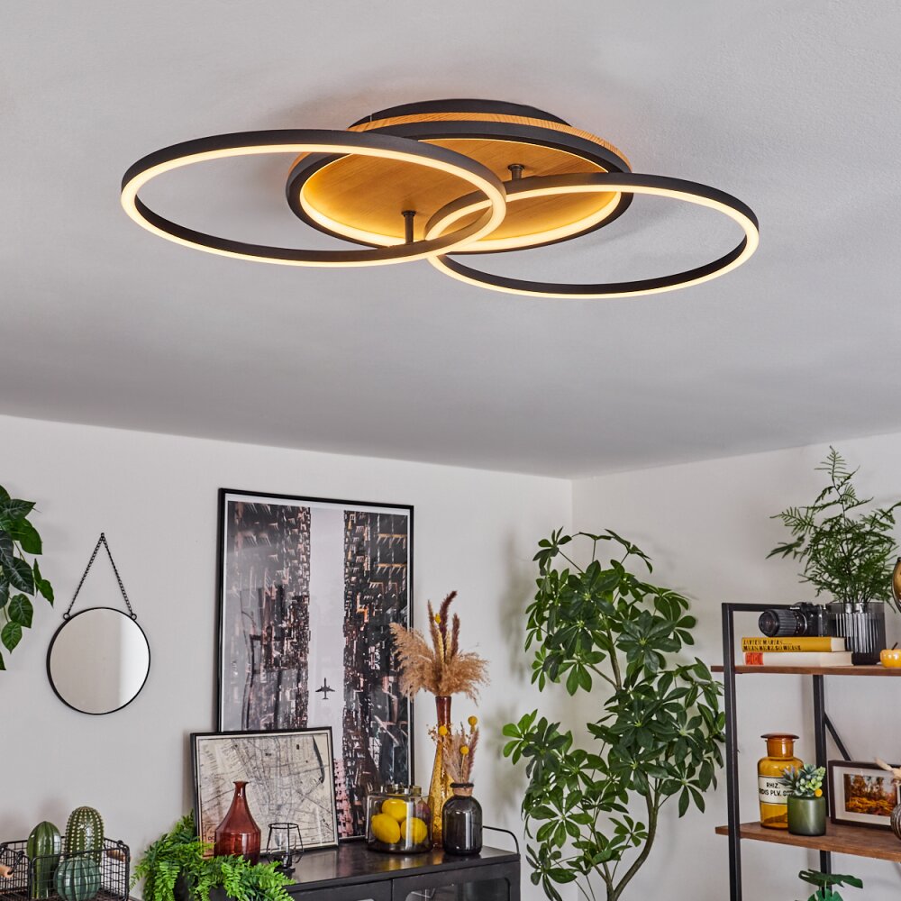 Cardozo Plafondlamp LED Natuurlijke kleuren, Zwart, 1-licht