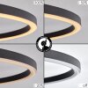 Cardozo Plafondlamp LED Natuurlijke kleuren, Zwart, 1-licht