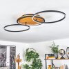 Cardozo Plafondlamp LED Natuurlijke kleuren, Zwart, 1-licht