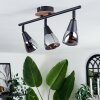 Leteque Plafondlamp Natuurlijke kleuren, Zwart, 3-lichts