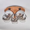 Koyoto Plafondlamp - Glas Natuurlijke kleuren, Zwart, 5-lichts
