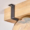 Montgomery Plafondlamp - Glas Natuurlijke kleuren, Zwart, 1-licht