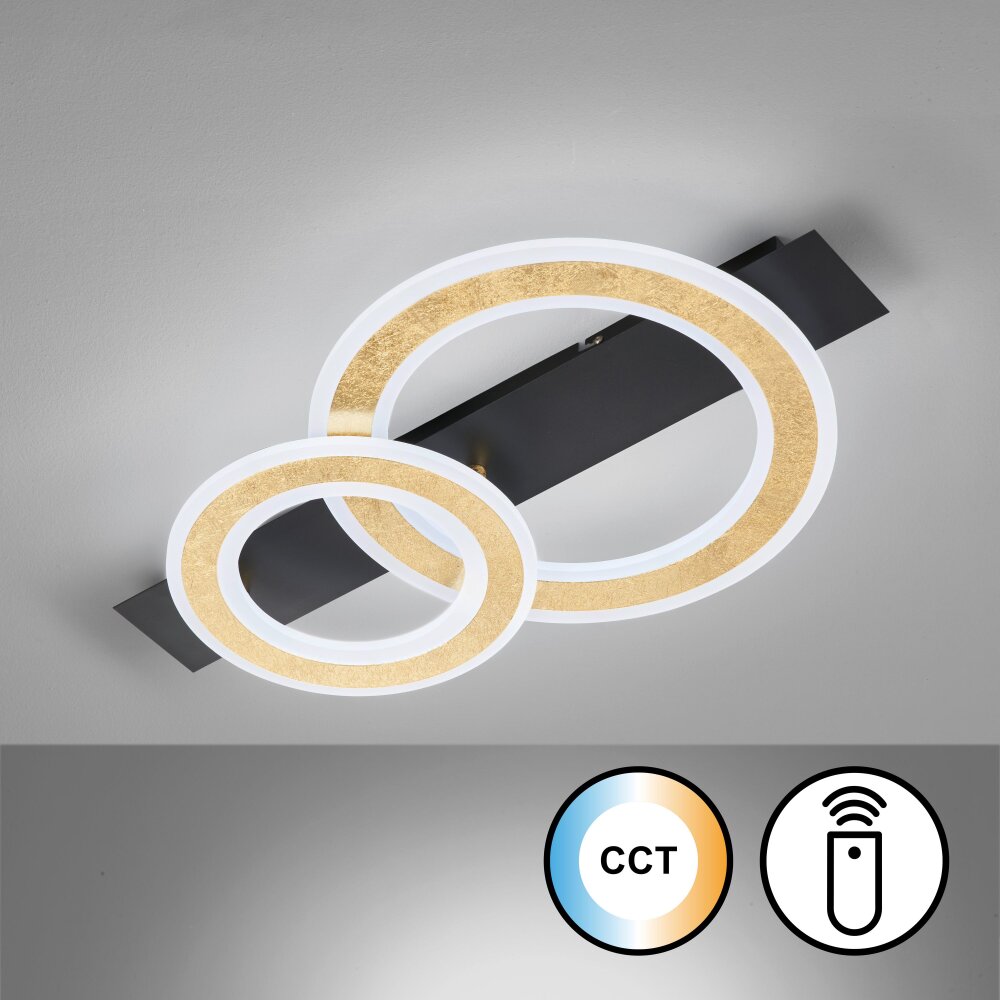 Fischer & Honsel Circle Plafondlamp LED Zwart, 1-licht, Afstandsbediening main product photo