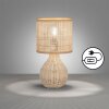 Fischer & Honsel Nature Tafellamp Natuurlijke kleuren, 1-licht