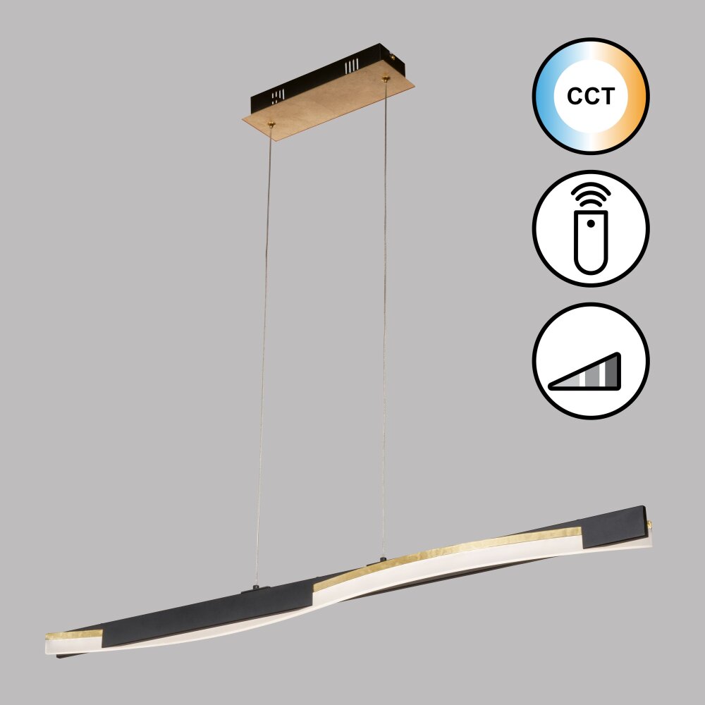 Fischer & Honsel Bridge Hanglamp LED Zwart, 1-licht, Afstandsbediening main product photo