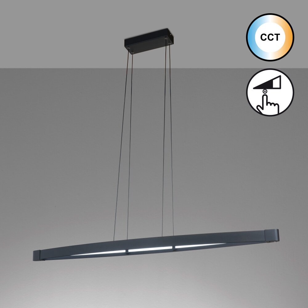 Fischer & Honsel Fenga Hanglamp LED Zwart, 1-licht main product photo
