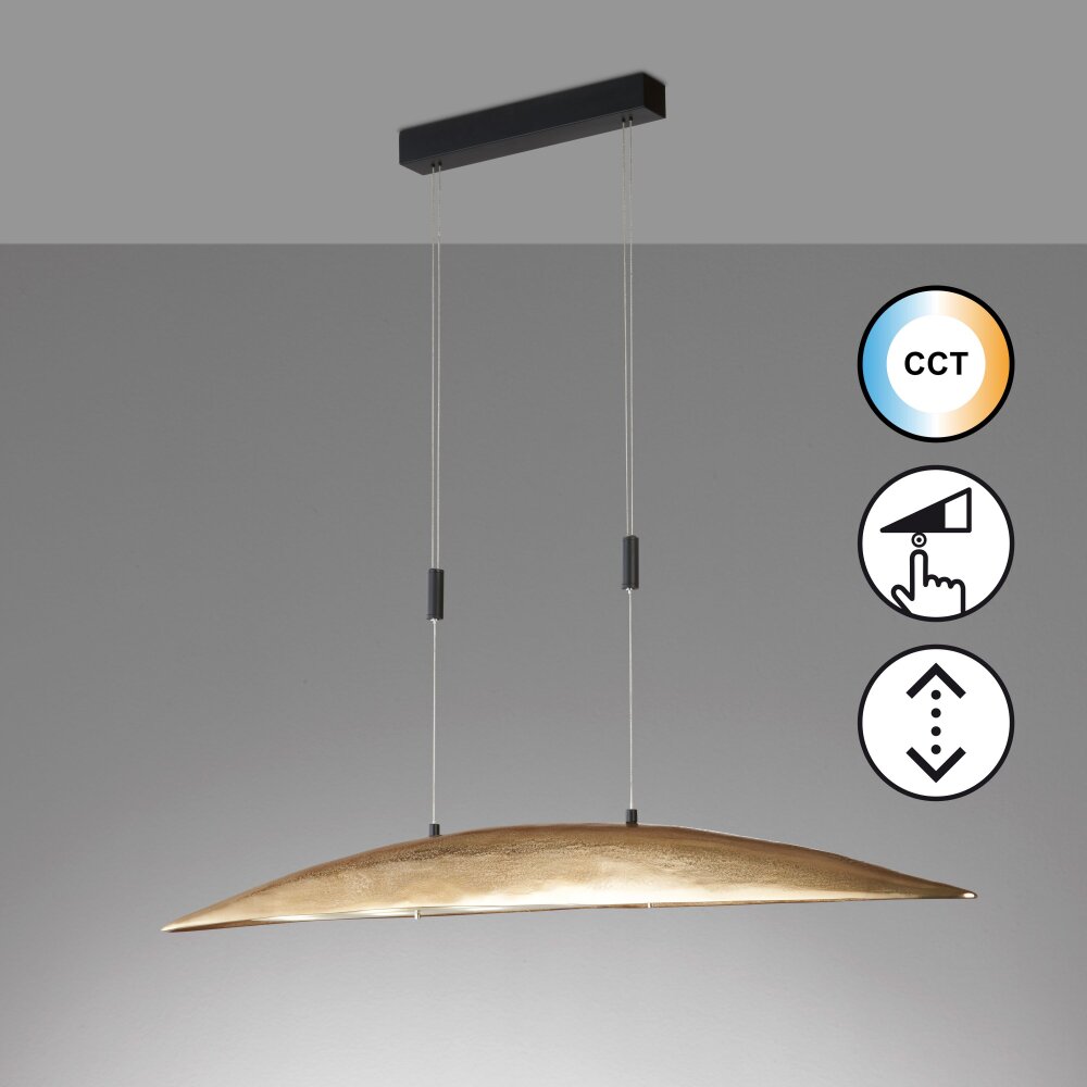Fischer & Honsel Colmar Hanglamp LED Zwart, 6-lichts main product photo