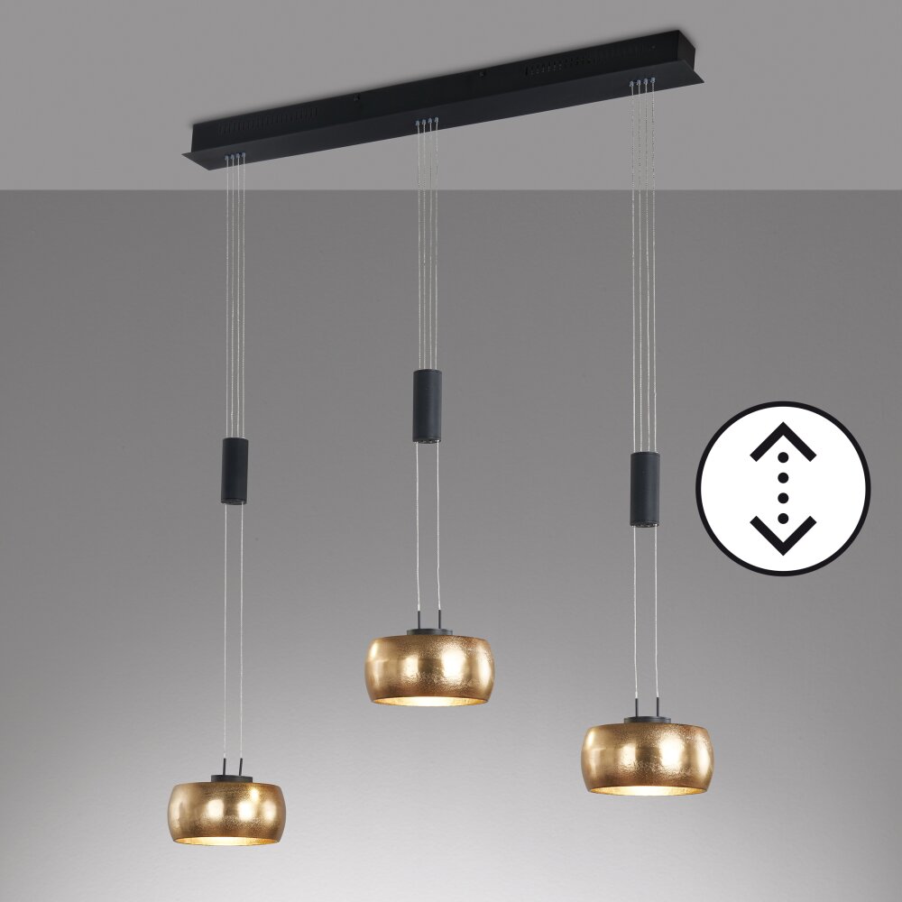 Fischer & Honsel Colette Hanglamp LED Zwart, 3-lichts main product photo
