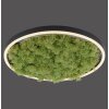 JUST LIGHT GERDA RITUS Plafondlamp LED Zwart, 1-licht