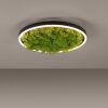 JUST LIGHT GERDA RITUS Plafondlamp LED Zwart, 1-licht