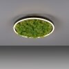 JUST LIGHT GERDA RITUS Plafondlamp LED Zwart, 1-licht