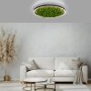 JUST LIGHT GERDA RITUS Plafondlamp LED Zwart, 1-licht