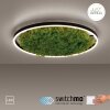 JUST LIGHT GERDA RITUS Plafondlamp LED Zwart, 1-licht