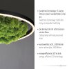 JUST LIGHT GERDA RITUS Plafondlamp LED Zwart, 1-licht