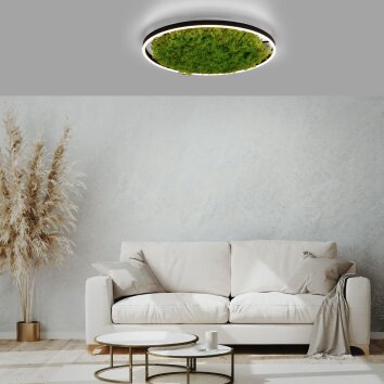 JUST LIGHT GERDA RITUS Plafondlamp LED Zwart, 1-licht