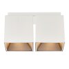 Nordlux ETHAN Plafondlamp Wit, 2-lichts