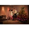 Philips Hue Festavia Lichtketting LED Zwart, 500-lichts, Kleurwisselaar