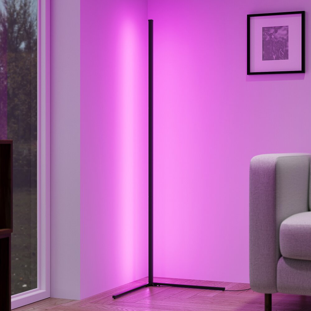 Reality LEVEL Staande lamp LED Zwart, 1-licht, Afstandsbediening, Kleurwisselaar main product photo
